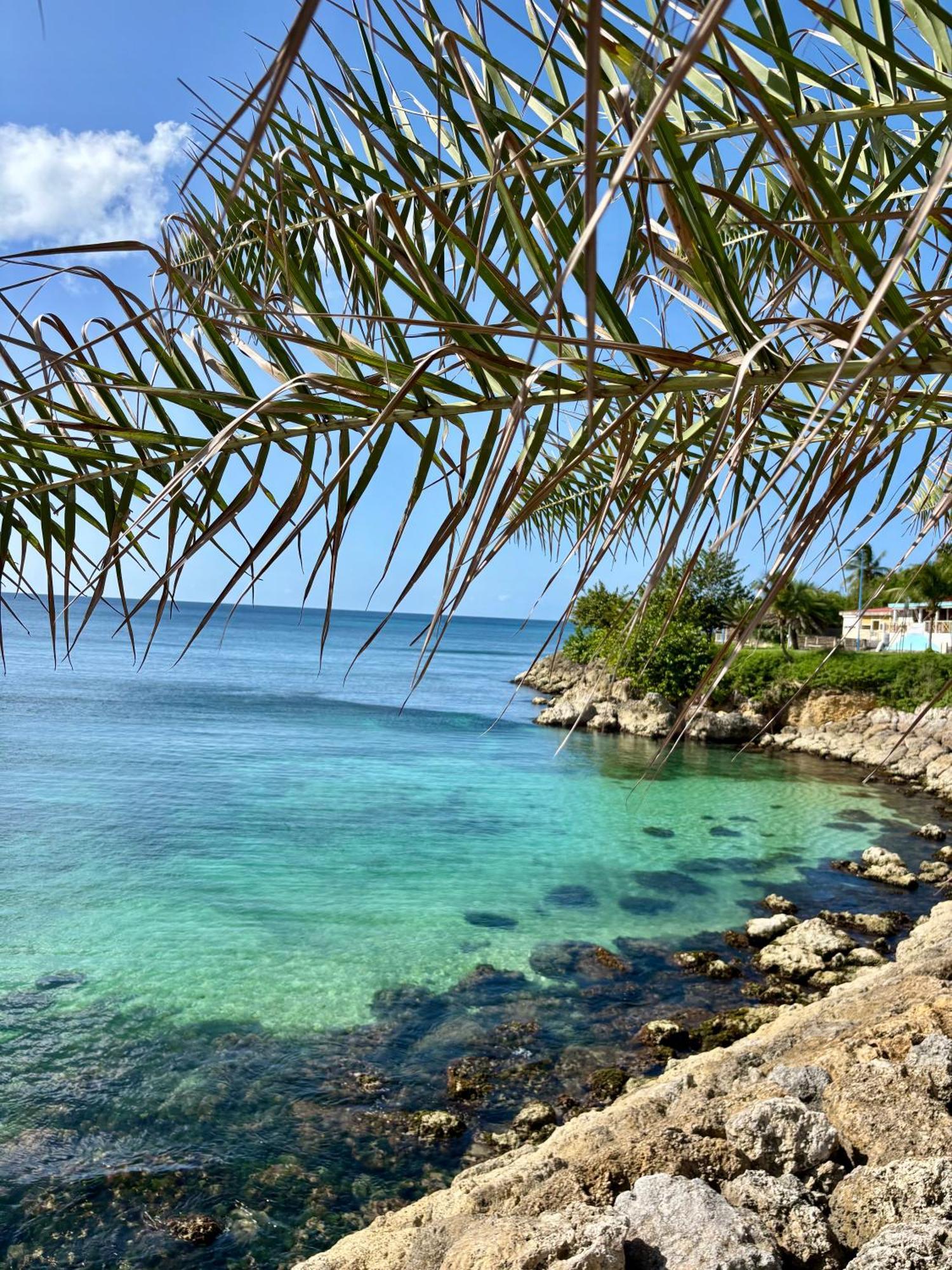 Gite Tournesol - A 2 Min De La Plage Et Du Bourg Anse-Bertrand Экстерьер фото